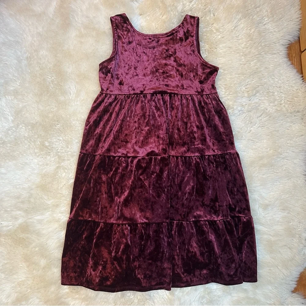 Crazy 8 Burgundy Velvet Dress - Picture 3 of 4